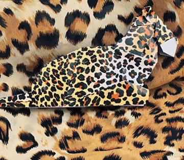 Origami Endangered Animals Kit: Paper Models of Threatened Wildlife - Michael G. LaFosse [KSIĄŻKA]