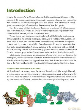 Origami Endangered Animals Kit: Paper Models of Threatened Wildlife - Michael G. LaFosse [KSIĄŻKA]