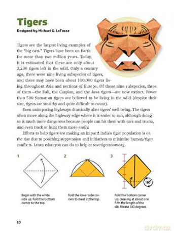 Origami Endangered Animals Kit: Paper Models of Threatened Wildlife - Michael G. LaFosse [KSIĄŻKA]