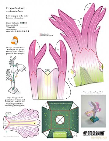 Origami Orchids Kit: 20 Beautiful Die-Cut Paper Models - Dennis Whigham [KSIĄŻKA]