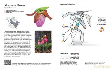 Origami Orchids Kit: 20 Beautiful Die-Cut Paper Models - Dennis Whigham [KSIĄŻKA]