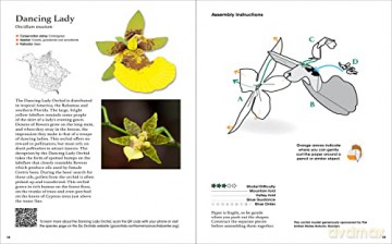 Origami Orchids Kit: 20 Beautiful Die-Cut Paper Models - Dennis Whigham [KSIĄŻKA]