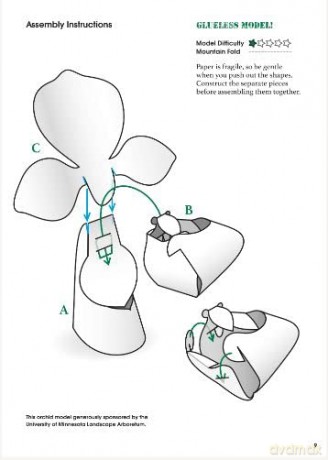 Origami Orchids Kit: 20 Beautiful Die-Cut Paper Models - Dennis Whigham [KSIĄŻKA]