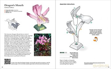 Origami Orchids Kit: 20 Beautiful Die-Cut Paper Models - Dennis Whigham [KSIĄŻKA]