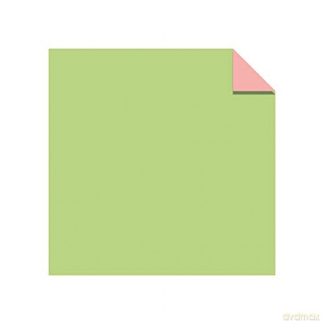 Origami Paper - Fluorescent Colors - 6 3/4 - 48 Sheets: Tuttle Origami Paper: Origami Sheets Printed with 6 Different Colors: Instructions for 6 Projects Included [KSIĄŻKA]