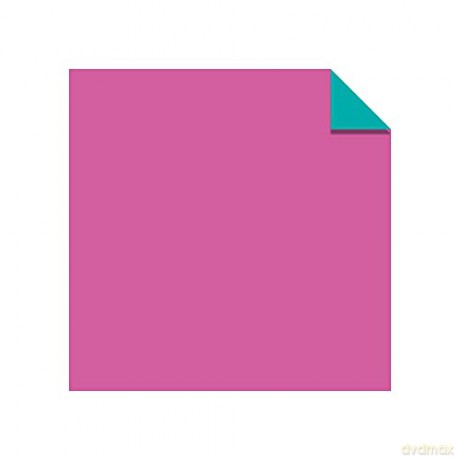Origami Paper - Fluorescent Colors - 6 3/4 - 48 Sheets: Tuttle Origami Paper: Origami Sheets Printed with 6 Different Colors: Instructions for 6 Projects Included [KSIĄŻKA]