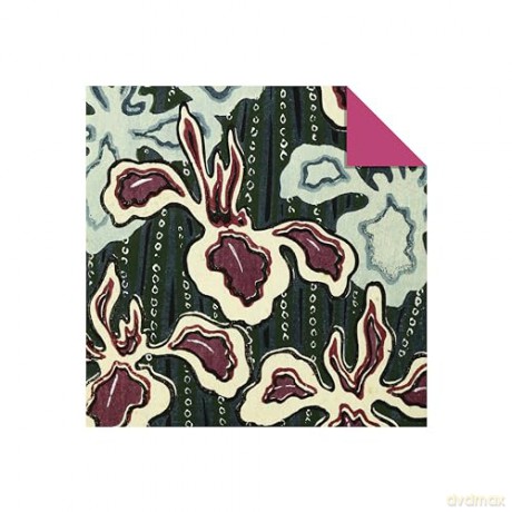 Origami Paper 100 sheets Japanese Flowers 6 (15 cm): Double-Sided Origami Sheets Printed with 12 Different Patterns (Instructions for Projects Included) - Tuttle Studio [KSIĄŻKA]