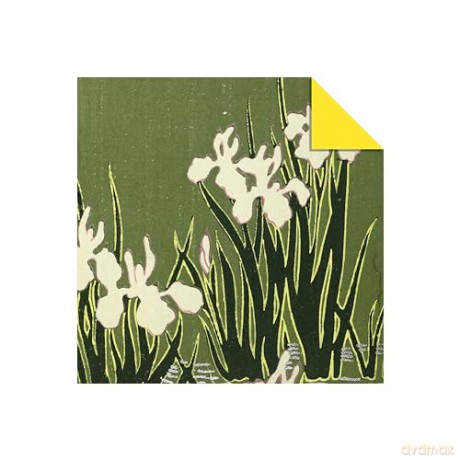 Origami Paper 100 sheets Japanese Flowers 6 (15 cm): Double-Sided Origami Sheets Printed with 12 Different Patterns (Instructions for Projects Included) - Tuttle Studio [KSIĄŻKA]