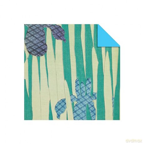 Origami Paper 100 sheets Japanese Flowers 6 (15 cm): Double-Sided Origami Sheets Printed with 12 Different Patterns (Instructions for Projects Included) - Tuttle Studio [KSIĄŻKA]