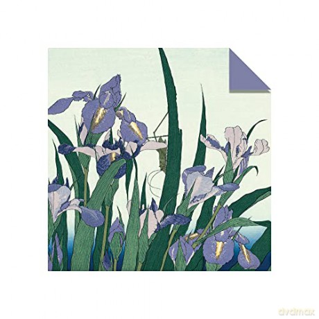 Origami Paper 200 sheets Hokusai Prints 6 (15 cm): Tuttle Origami Paper: Double-Sided Origami Sheets Printed with 12 Different Designs (Instructions for 5 Projects Included) - Tuttle Studio [KSIĄŻKA]