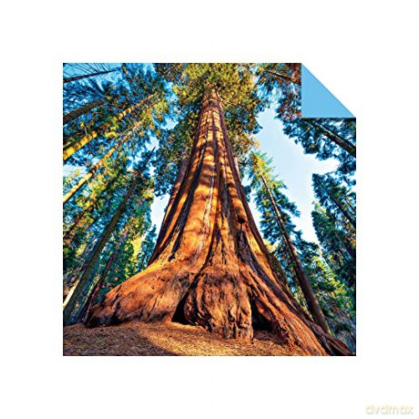 Origami Paper 200 sheets Mother Earth Photos 6 (15 cm): Tuttle Origami Paper: Double Sided Origami Sheets Printed with 12 Different Photographs (Instructions for 6 Projects Included) [KSIĄŻKA]