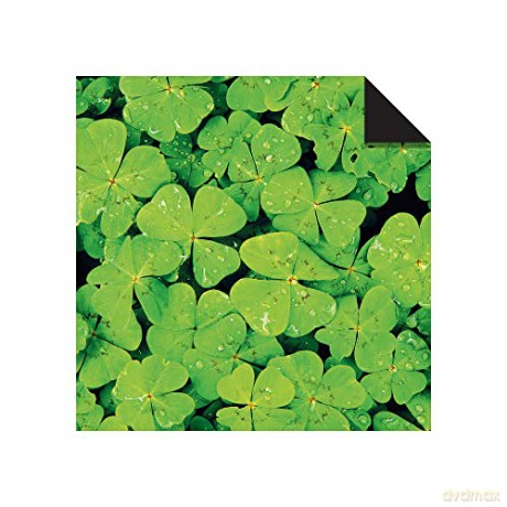 Origami Paper 300 sheets Nature Photo Patterns 4 inch (10 cm): Tuttle Origami Paper: Double-Sided Origami Sheets Printed with 12 Different Designs [KSIĄŻKA]