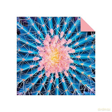 Origami Paper 300 sheets Nature Photo Patterns 4 inch (10 cm): Tuttle Origami Paper: Double-Sided Origami Sheets Printed with 12 Different Designs [KSIĄŻKA]