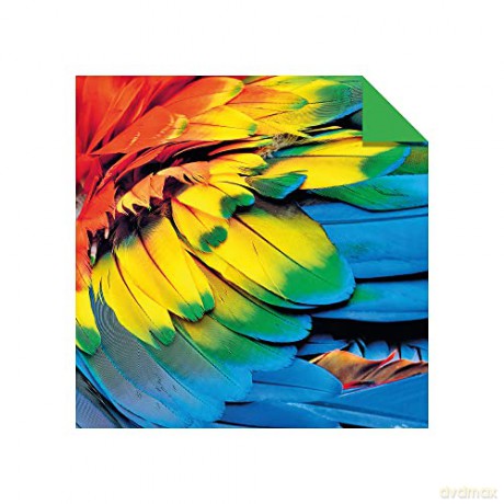 Origami Paper 300 sheets Nature Photo Patterns 4 inch (10 cm): Tuttle Origami Paper: Double-Sided Origami Sheets Printed with 12 Different Designs [KSIĄŻKA]