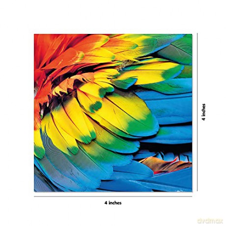 Origami Paper 300 sheets Nature Photo Patterns 4 inch (10 cm): Tuttle Origami Paper: Double-Sided Origami Sheets Printed with 12 Different Designs [KSIĄŻKA]