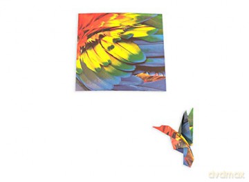 Origami Paper 300 sheets Nature Photo Patterns 4 inch (10 cm): Tuttle Origami Paper: Double-Sided Origami Sheets Printed with 12 Different Designs [KSIĄŻKA]