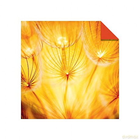 Origami Paper 300 sheets Nature Photo Patterns 4 inch (10 cm): Tuttle Origami Paper: Double-Sided Origami Sheets Printed with 12 Different Designs [KSIĄŻKA]