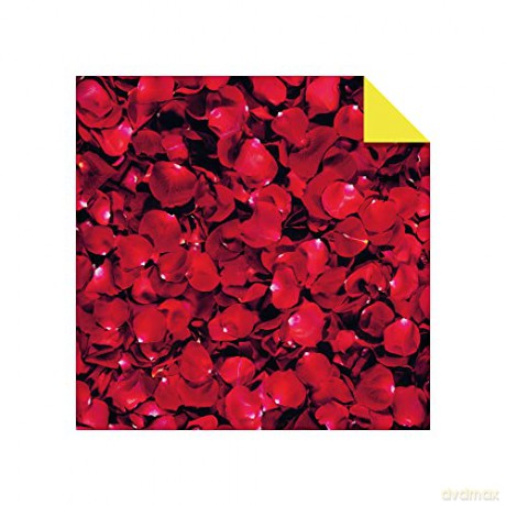 Origami Paper 300 sheets Nature Photo Patterns 4 inch (10 cm): Tuttle Origami Paper: Double-Sided Origami Sheets Printed with 12 Different Designs [KSIĄŻKA]
