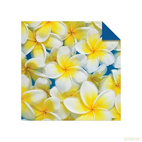 Origami Paper 500 sheets Nature Photo Patterns 6 (15 cm): Tuttle Origami Paper: Double-Sided Origami Sheets Printed with 12 Different Designs (Instructions for 6 Projects Included) [KSIĄŻKA]