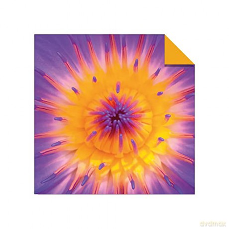 Origami Paper 500 sheets Nature Photo Patterns 6 (15 cm): Tuttle Origami Paper: Double-Sided Origami Sheets Printed with 12 Different Designs (Instructions for 6 Projects Included) [KSIĄŻKA]