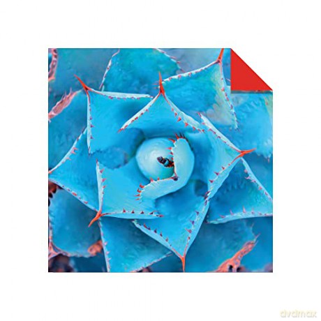 Origami Paper 500 sheets Nature Photo Patterns 6 (15 cm): Tuttle Origami Paper: Double-Sided Origami Sheets Printed with 12 Different Designs (Instructions for 6 Projects Included) [KSIĄŻKA]