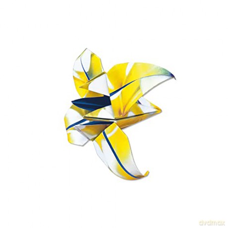 Origami Paper 500 sheets Nature Photo Patterns 6 (15 cm): Tuttle Origami Paper: Double-Sided Origami Sheets Printed with 12 Different Designs (Instructions for 6 Projects Included) [KSIĄŻKA]