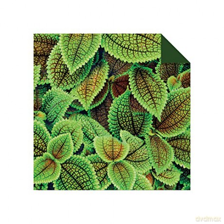Origami Paper 500 sheets Nature Photo Patterns 6 (15 cm): Tuttle Origami Paper: Double-Sided Origami Sheets Printed with 12 Different Designs (Instructions for 6 Projects Included) [KSIĄŻKA]
