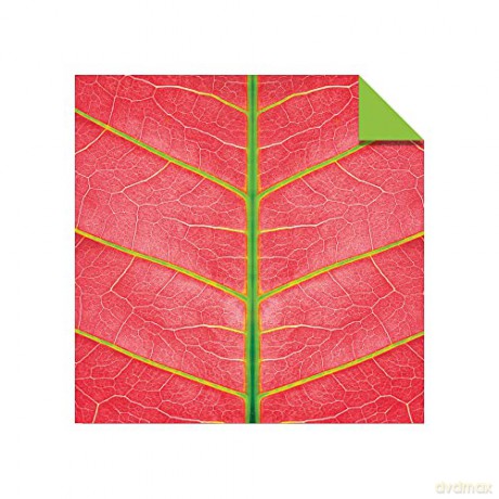 Origami Paper 500 sheets Nature Photo Patterns 6 (15 cm): Tuttle Origami Paper: Double-Sided Origami Sheets Printed with 12 Different Designs (Instructions for 6 Projects Included) [KSIĄŻKA]