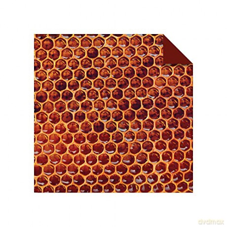 Origami Paper 500 sheets Nature Photo Patterns 6 (15 cm): Tuttle Origami Paper: Double-Sided Origami Sheets Printed with 12 Different Designs (Instructions for 6 Projects Included) [KSIĄŻKA]