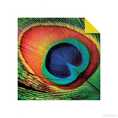 Origami Paper 500 sheets Nature Photo Patterns 6 (15 cm): Tuttle Origami Paper: Double-Sided Origami Sheets Printed with 12 Different Designs (Instructions for 6 Projects Included) [KSIĄŻKA]