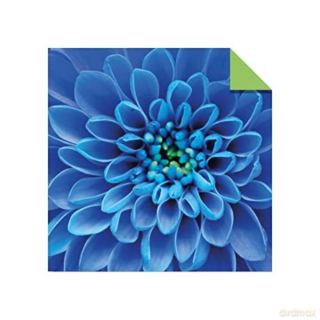 Origami Paper 500 sheets Nature Photo Patterns 6 (15 cm): Tuttle Origami Paper: Double-Sided Origami Sheets Printed with 12 Different Designs (Instructions for 6 Projects Included) [KSIĄŻKA]