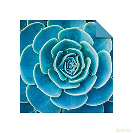 Origami Paper 500 sheets Nature Photo Patterns 6 (15 cm): Tuttle Origami Paper: Double-Sided Origami Sheets Printed with 12 Different Designs (Instructions for 6 Projects Included) [KSIĄŻKA]