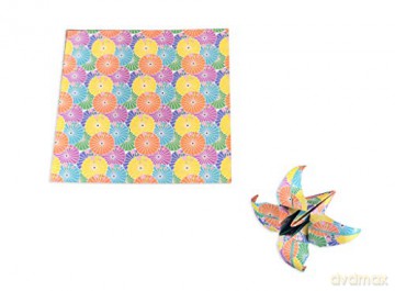 Origami Paper in a Box - Chiyogami Patterns: 200 Sheets of Tuttle Origami Paper: High-quality Origami Paper Printed With 10 Different Patterns: 32-page Instructional Book of 12 Projects [KSIĄŻKA]