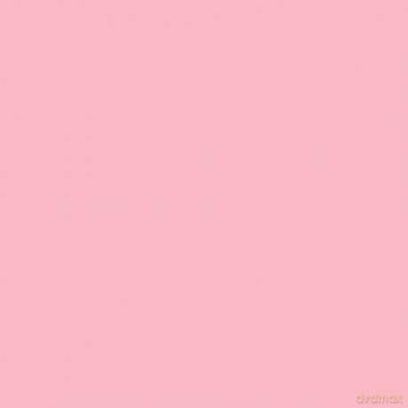 Origami Paper Pastel: 49 Sheets: Tuttle Origami Paper: High-Quality Origami Sheets Printed with 6 Different Colors: Instructions for 6 Projects Included [KSIĄŻKA]