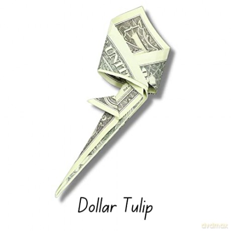 Origami Paper: Dollar Bills: High-Quality Origami Paper; 250 Double-Sided Sheets (Instructions for 4 Models Included) - Marc Kirschenbaum [KSIĄŻKA]