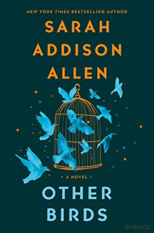 Other Birds: A Novel - Sarah Addison Allen [KSIĄŻKA]