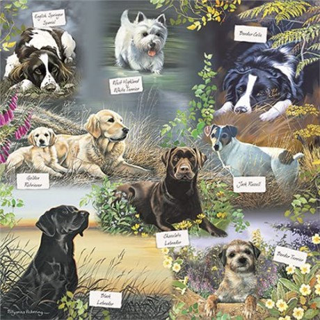 Otter House 1000 Piece Square Jigsaw Puzzle- Man's Best Friend [PUZZLE]