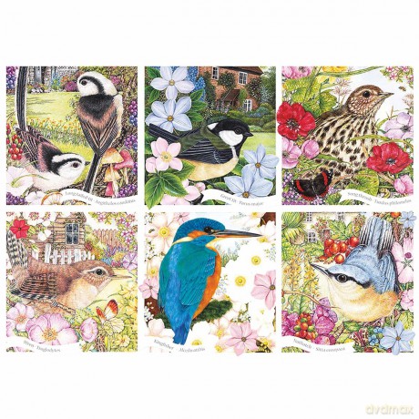 Otter House Gift Rectangular Jigsaw - RSPB Garden Birds [PUZZLE]