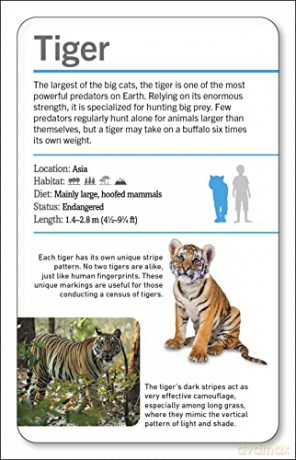 Our World in Pictures Animals of the World Flash Cards (DK Our World in Pictures) - Dk [KSIĄŻKA]