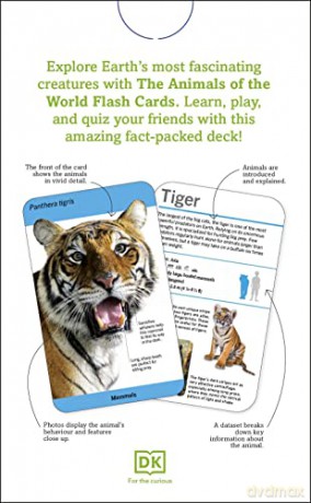 Our World in Pictures Animals of the World Flash Cards (DK Our World in Pictures) - Dk [KSIĄŻKA]
