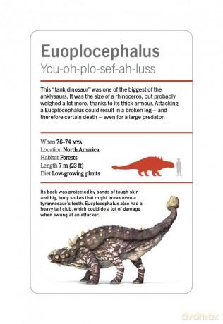 Our World in Pictures Dinosaurs and Other Prehistoric Creatures Flash Cards (DK Our World in Pictures) - Dk [KSIĄŻKA]