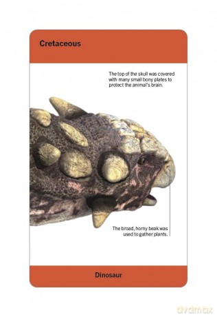 Our World in Pictures Dinosaurs and Other Prehistoric Creatures Flash Cards (DK Our World in Pictures) - Dk [KSIĄŻKA]