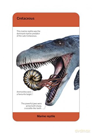 Our World in Pictures Dinosaurs and Other Prehistoric Creatures Flash Cards (DK Our World in Pictures) - Dk [KSIĄŻKA]