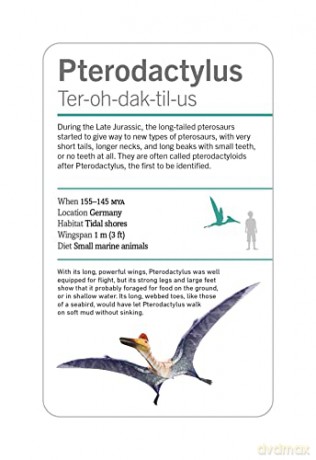 Our World in Pictures Dinosaurs and Other Prehistoric Creatures Flash Cards (DK Our World in Pictures) - Dk [KSIĄŻKA]