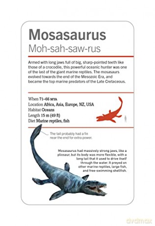 Our World in Pictures Dinosaurs and Other Prehistoric Creatures Flash Cards (DK Our World in Pictures) - Dk [KSIĄŻKA]