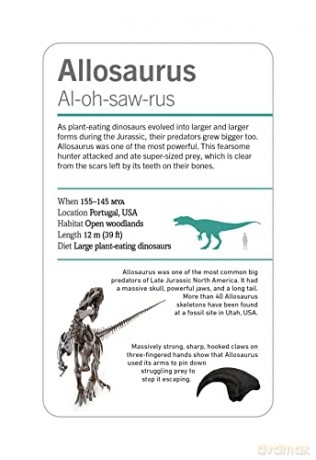 Our World in Pictures Dinosaurs and Other Prehistoric Creatures Flash Cards (DK Our World in Pictures) - Dk [KSIĄŻKA]