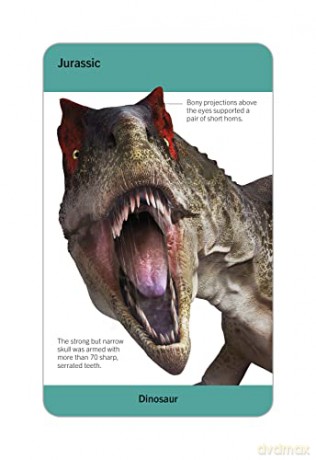 Our World in Pictures Dinosaurs and Other Prehistoric Creatures Flash Cards (DK Our World in Pictures) - Dk [KSIĄŻKA]
