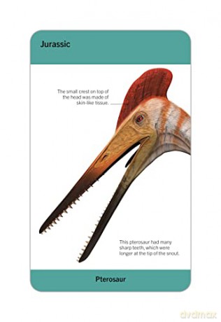 Our World in Pictures Dinosaurs and Other Prehistoric Creatures Flash Cards (DK Our World in Pictures) - Dk [KSIĄŻKA]