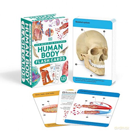 Our World in Pictures Human Body Flash Cards (DK Our World in Pictures) - Dk [KSIĄŻKA]