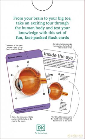 Our World in Pictures Human Body Flash Cards (DK Our World in Pictures) - Dk [KSIĄŻKA]